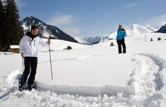 Hotelli Gästehaus Alpenblick