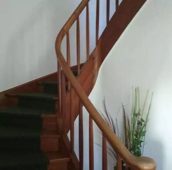 호텔 Apartments Rosenhof