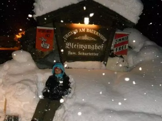 Bauernhof Bleiwanghof