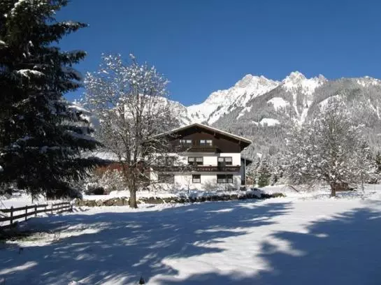 Bauernhof Buchenhof