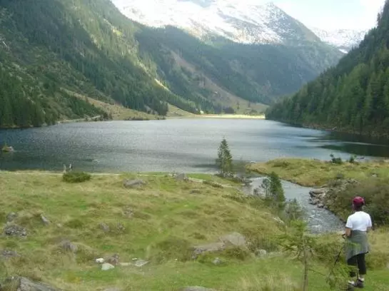 Bauernhof Tritscherhof