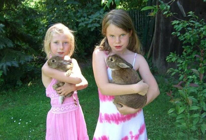 ホテル Gasthof Zinkenbachmühle