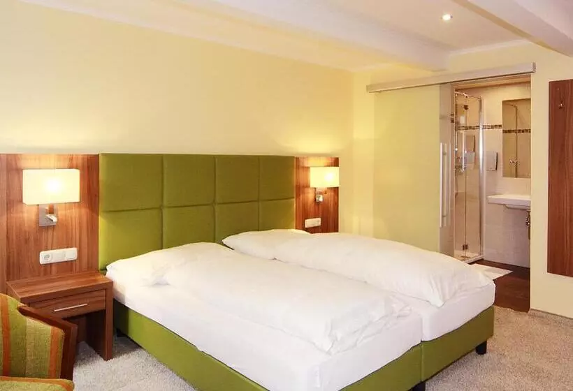 호텔 Goldener Adler