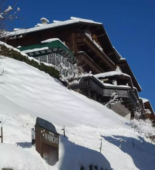 호텔 Habicht