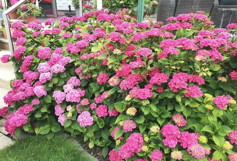 酒店 Haus Regina Gruber