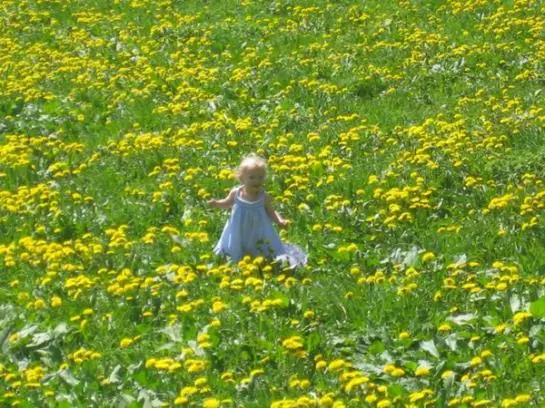 Отель Haus Unterhuben