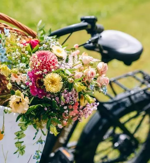 Отель Loisi S Boutique