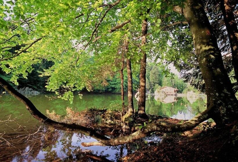 Отель Schloss Matzen