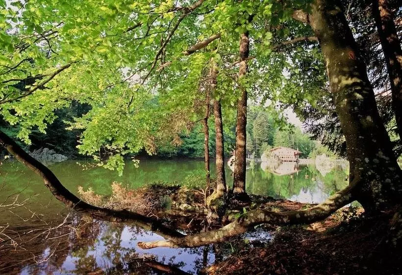 Отель Schloss Matzen