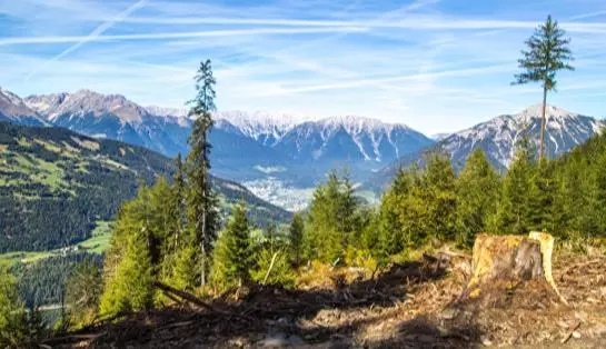 ホテル Stalder Hütte