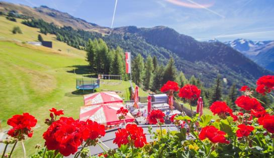 Отель Stalder Hütte