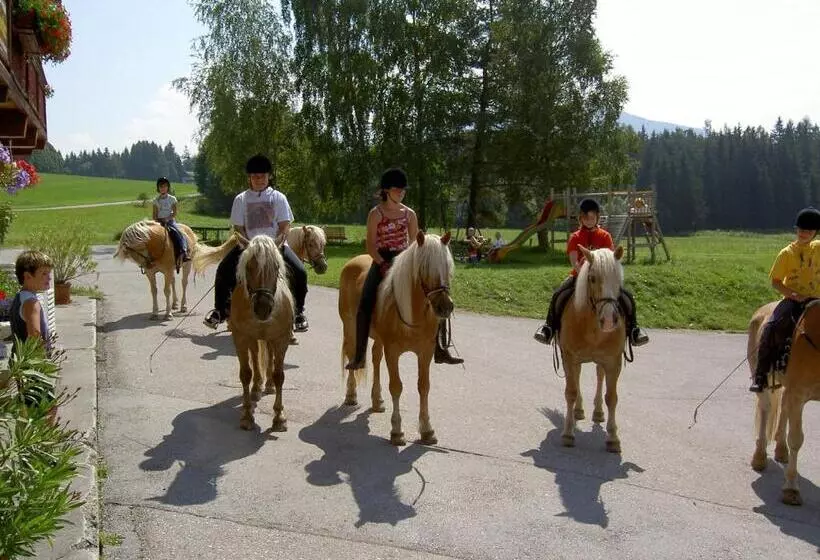 ホテル Stockerwirt