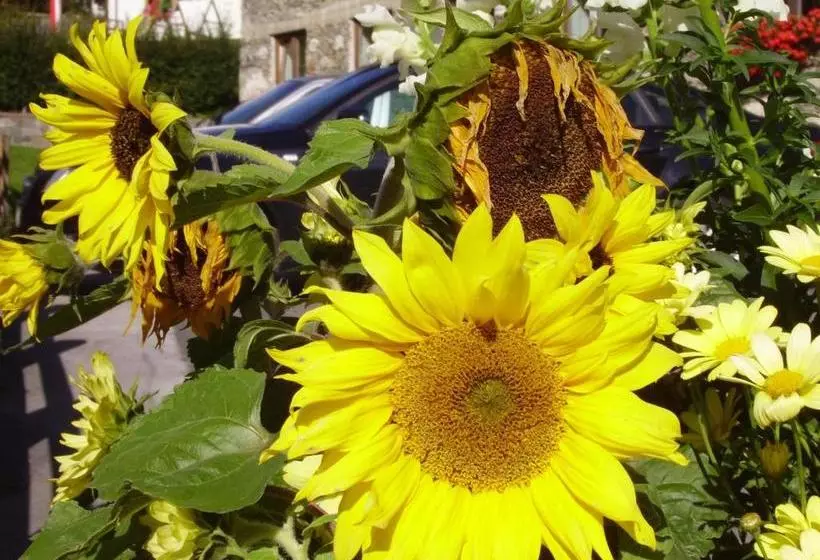 ペンション Gästehaus Post