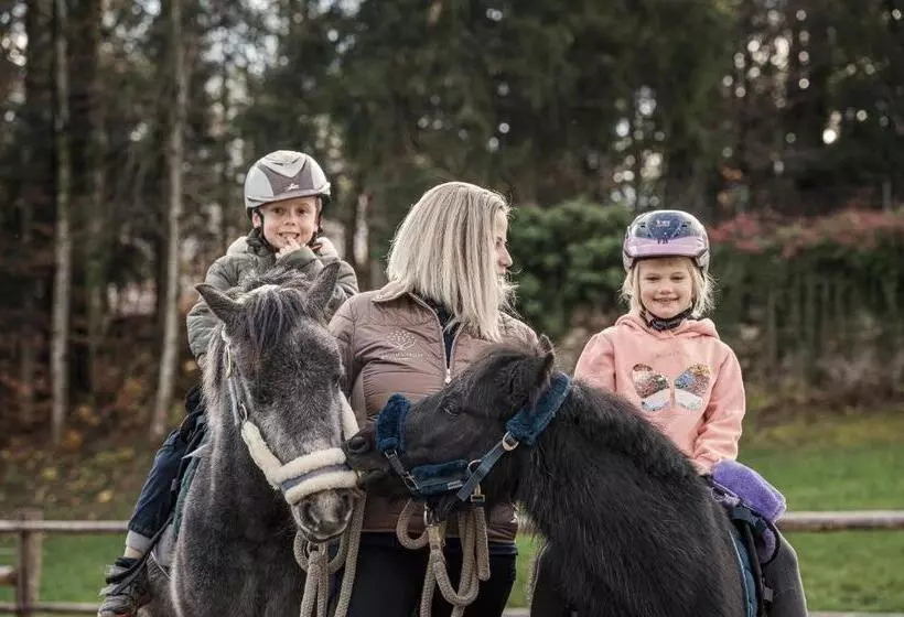 Отель Bachmanngut