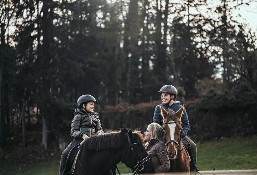 Отель Bachmanngut