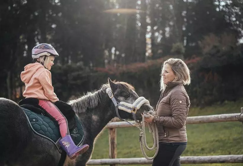 Отель Bachmanngut