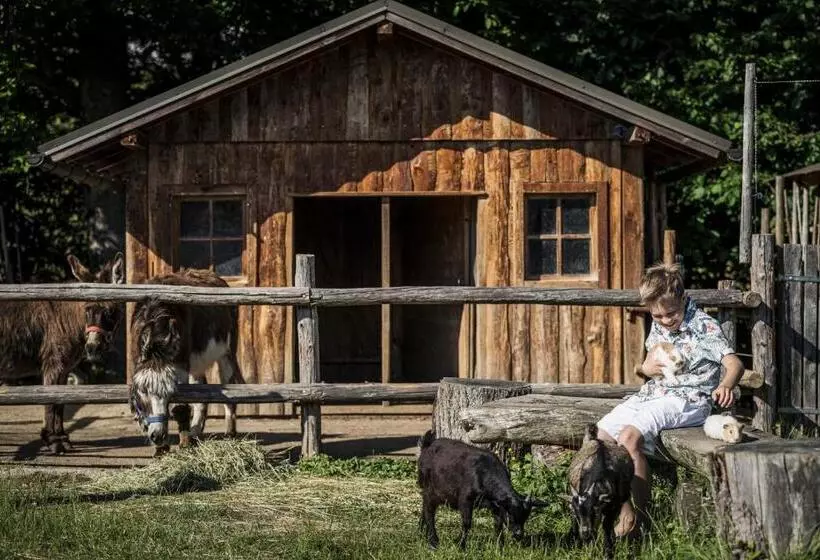 Отель Bachmanngut