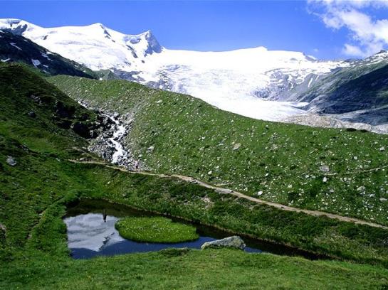 Bauernhof Ruggenthalerhof