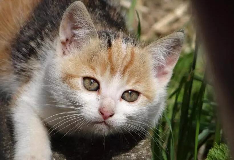 ホテル Ferienwohnung Am Oberrainerhof
