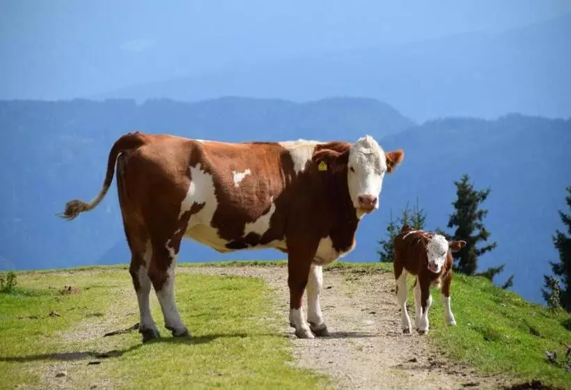 ホテル Ferienwohnung Am Oberrainerhof