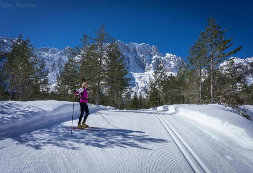 호텔 Ferienwohnung Am Oberrainerhof