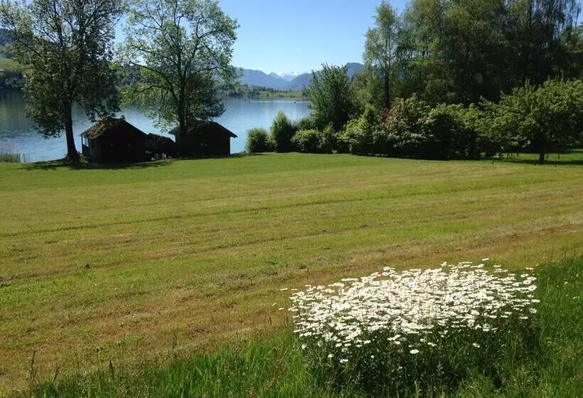 فندق Garni Dorferwirt