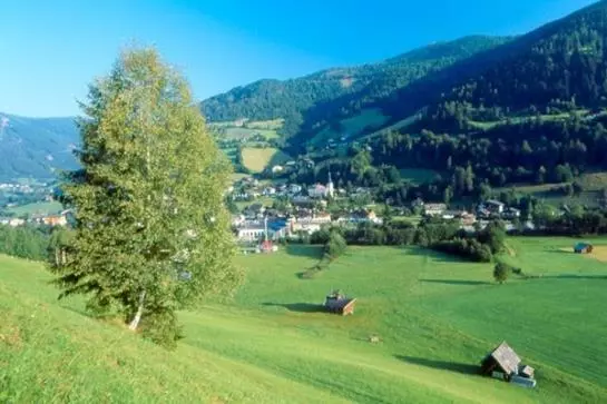 Отель Garni Strohsack