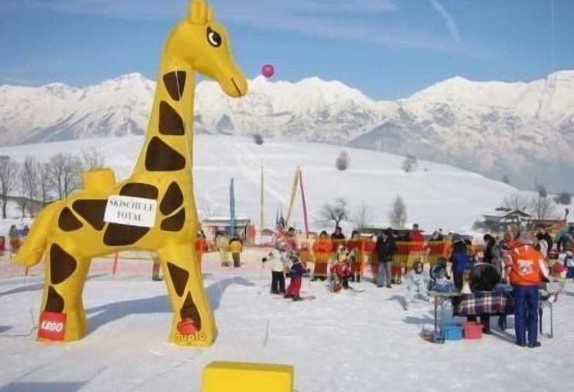 Отель Geisler Tulfes