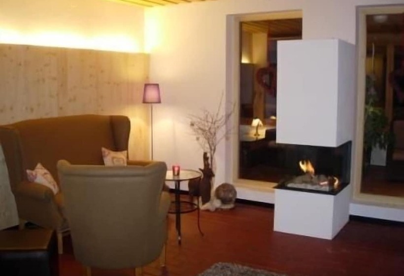 Отель Geisler Tulfes