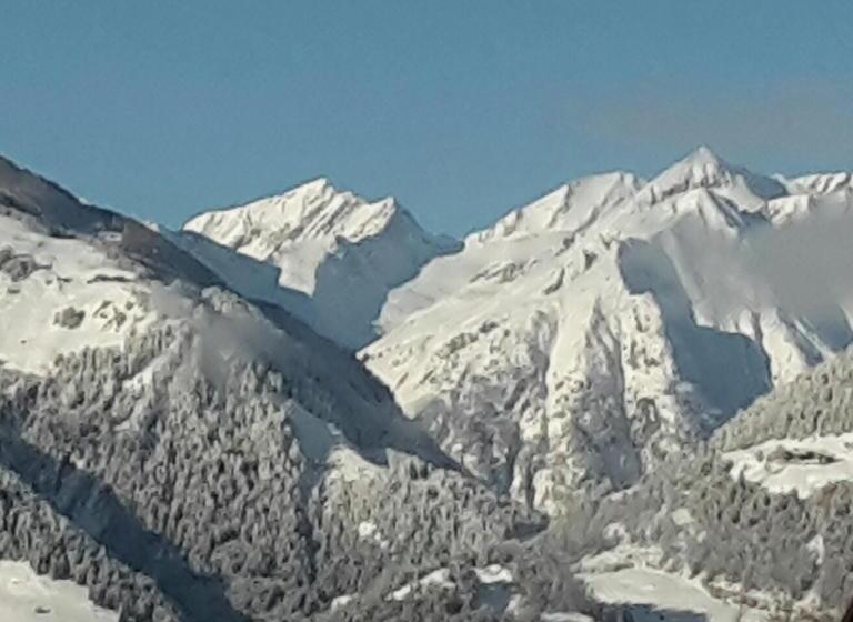 Отель Gästehaus Zedlacherhof