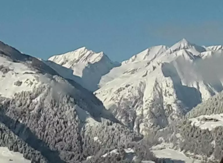 Отель Gästehaus Zedlacherhof