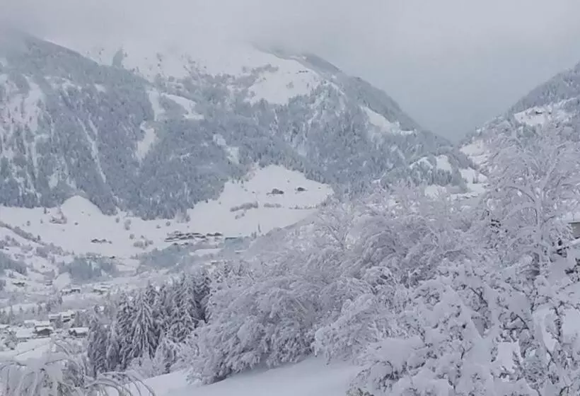 Отель Gästehaus Zedlacherhof