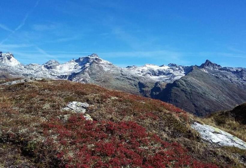 Отель Gästehaus Zedlacherhof