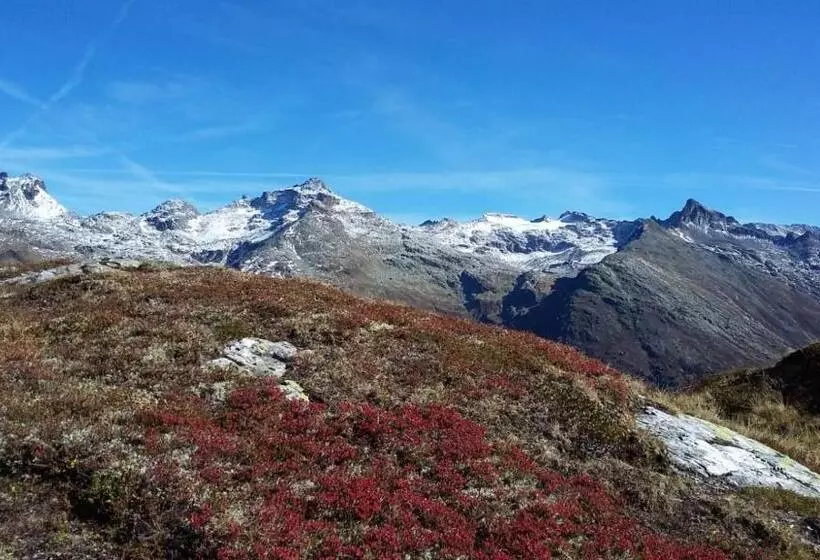 Отель Gästehaus Zedlacherhof