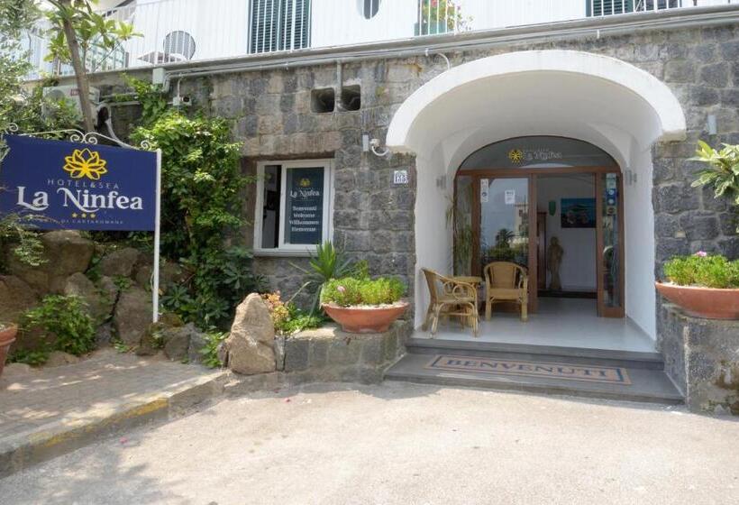 هتل La Ninfea