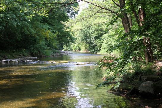 Schwarz Wienerwald Residenz