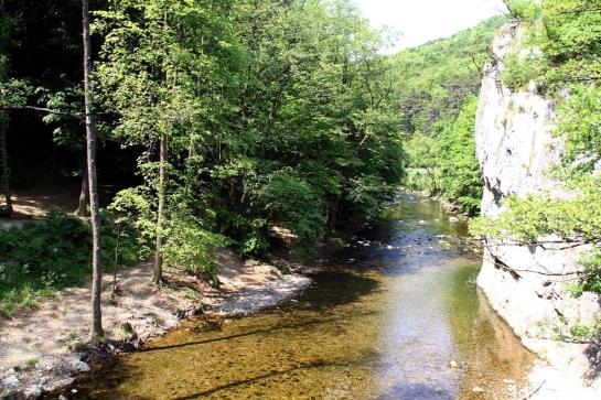 Schwarz Wienerwald Residenz