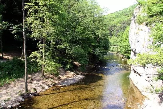 Schwarz Wienerwald Residenz