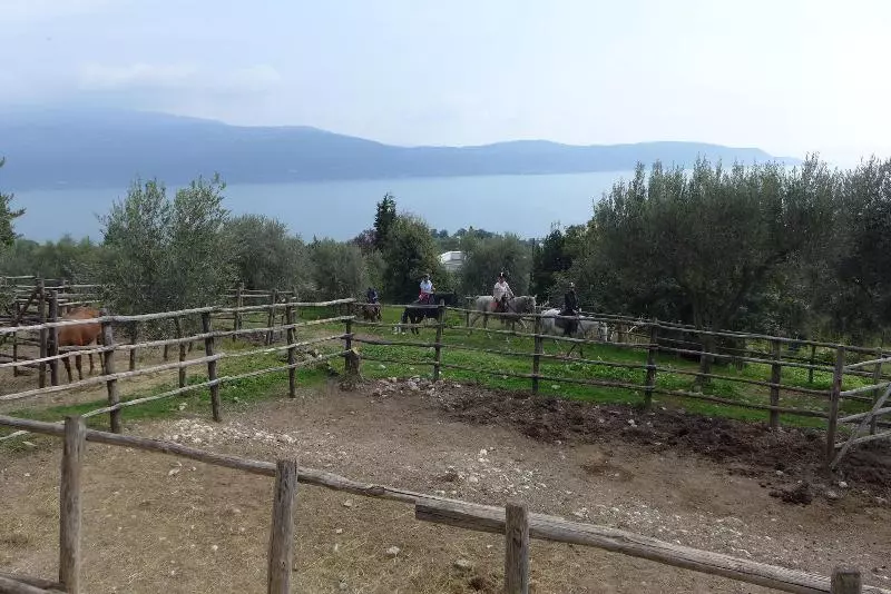 酒店 Scuderia Castello