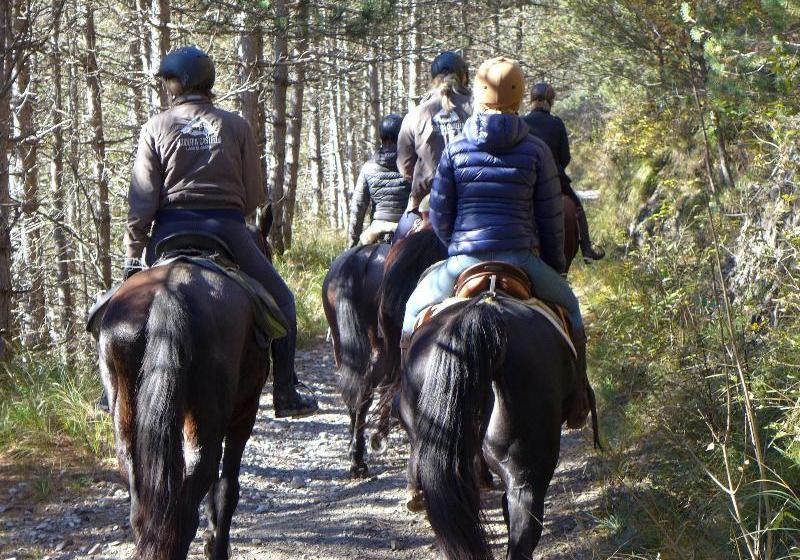 ホテル Scuderia Castello