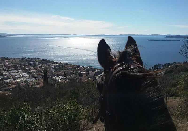 ホテル Scuderia Castello