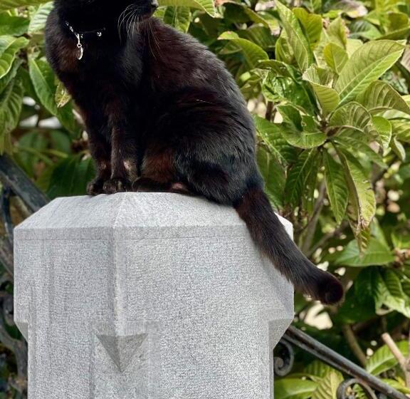 فندق Villa Parkschlössl