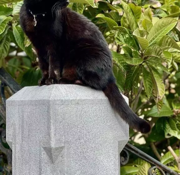 ホテル Villa Parkschlössl