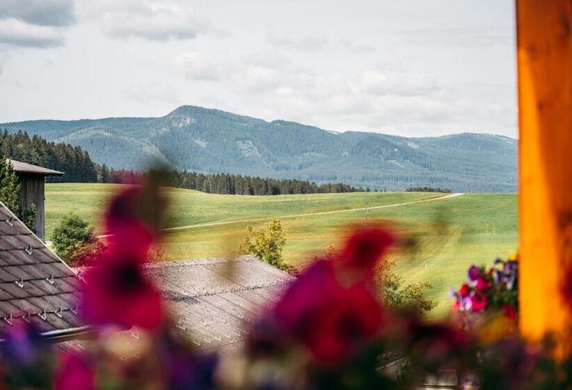 Wander  Und Wellnesshotel Kanzler