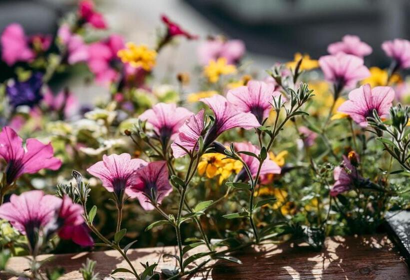 Wander  Und Wellnesshotel Kanzler