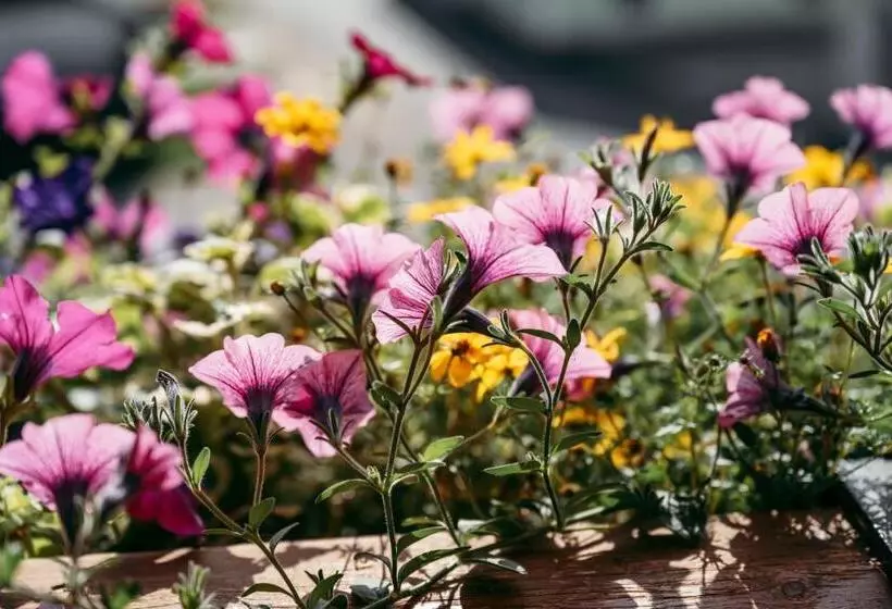 Wander Und Wellnesshotel Kanzler