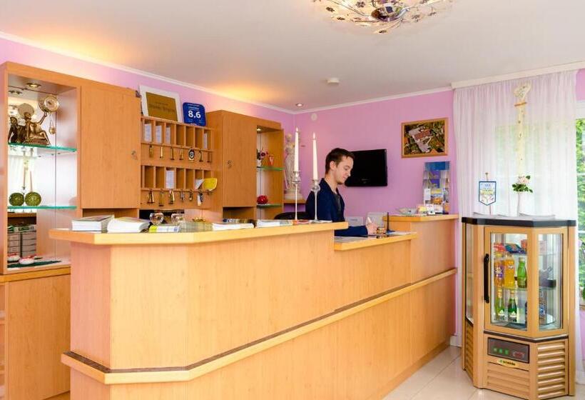 펜션 1a Hotel Steiner