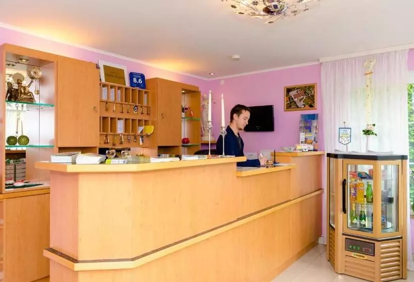 بنسيون 1a Hotel Steiner