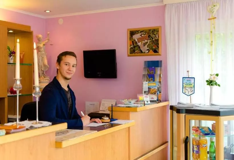 بنسيون 1a Hotel Steiner