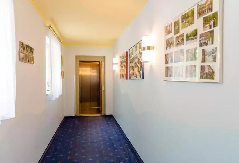 بنسيون 1a Hotel Steiner